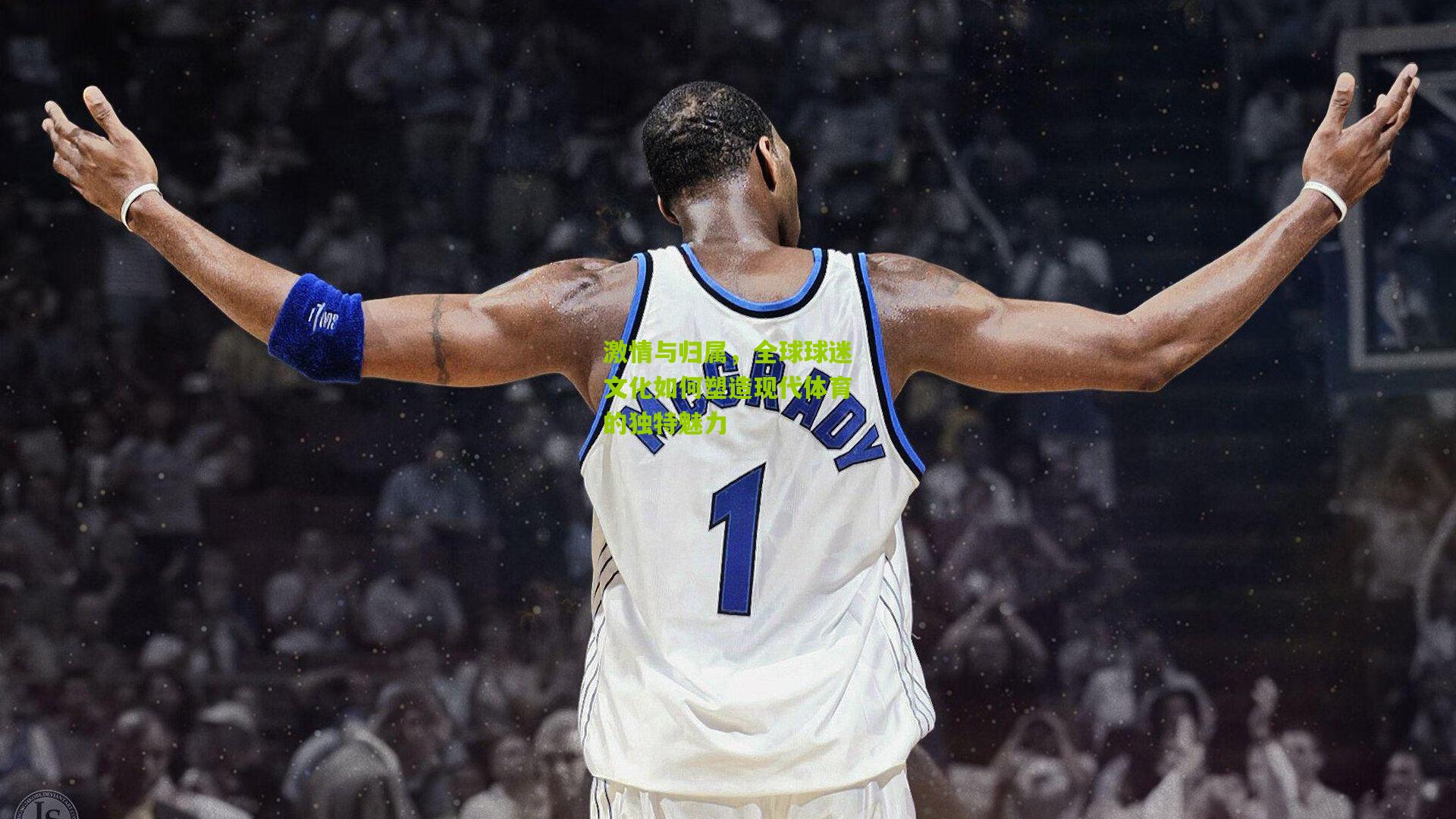 激情与归属，全球球迷文化如何塑造现代体育的独特魅力