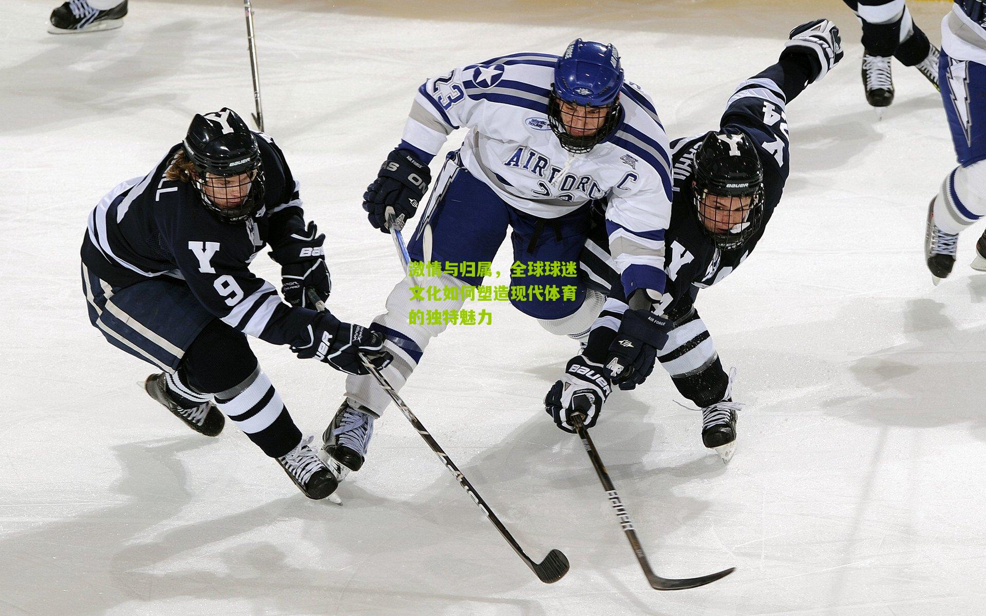 激情与归属，全球球迷文化如何塑造现代体育的独特魅力